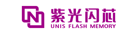 紫光闪芯